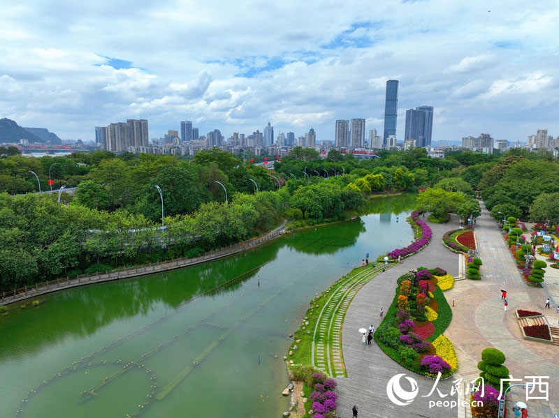 鮮花與城市相互襯映。人民網(wǎng) 付華周攝