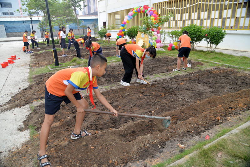 活動現(xiàn)場。學校供圖