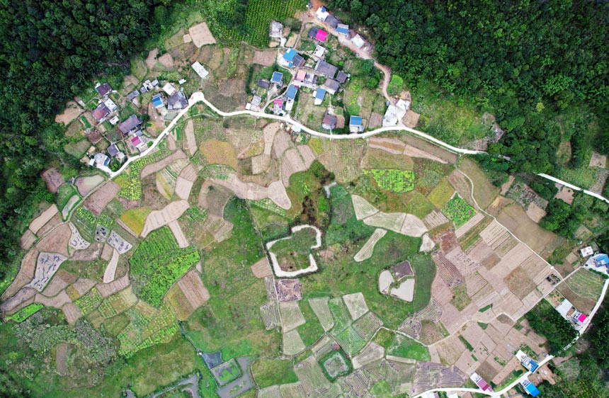 在廣西柳州市融安縣橋板鄉(xiāng)橋板村，農(nóng)村公路連接著各家各戶。