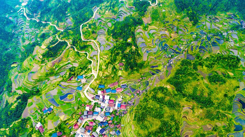 融水縣元寶山小桑村農(nóng)村公路--王昌剛 攝.jpg