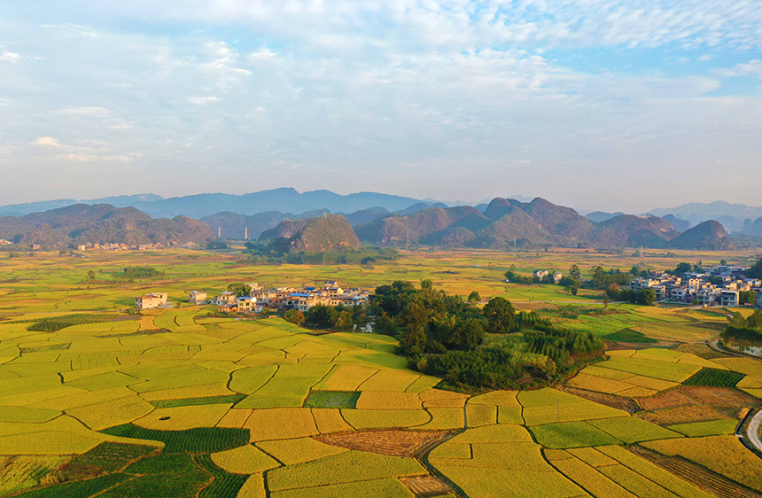 10月23日，在廣西融水苗族自治縣融水鎮(zhèn)東良村拍攝的田園豐收美景。