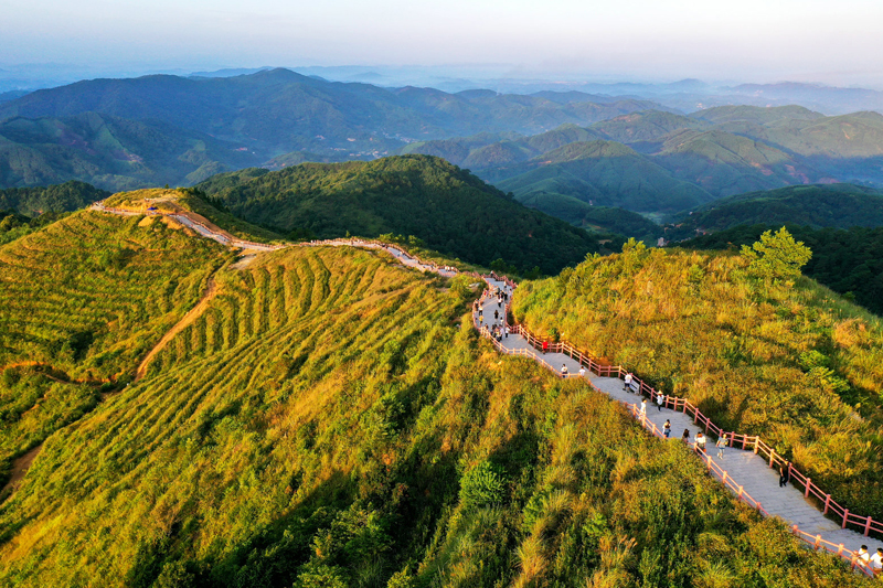 政華村觀光棧道。黃汝德攝