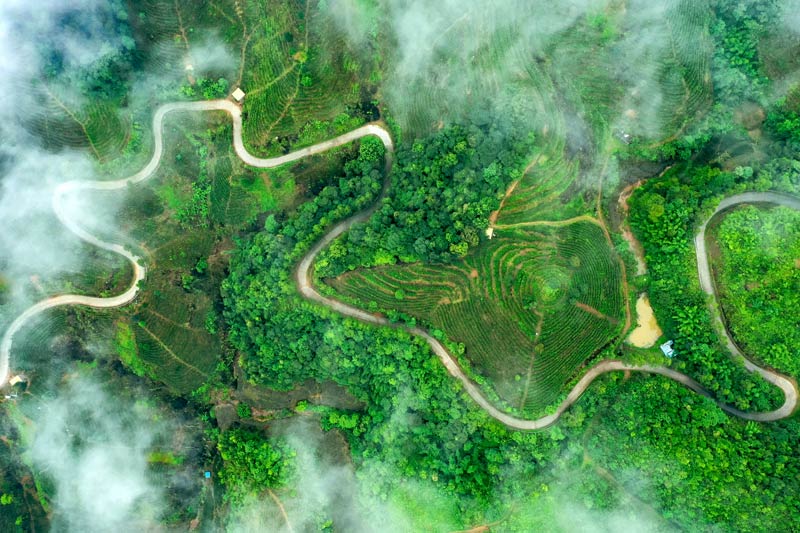 霧氣繚繞下，穿梭在千年茶香六堡鎮(zhèn)的公路，如舞動(dòng)的絲帶般充滿活力。