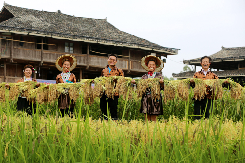 易地搬遷安置點(diǎn)——夢嗚苗寨景區(qū)內(nèi)微田園大豐收