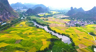 靈川縣聚田村附近的農村公路