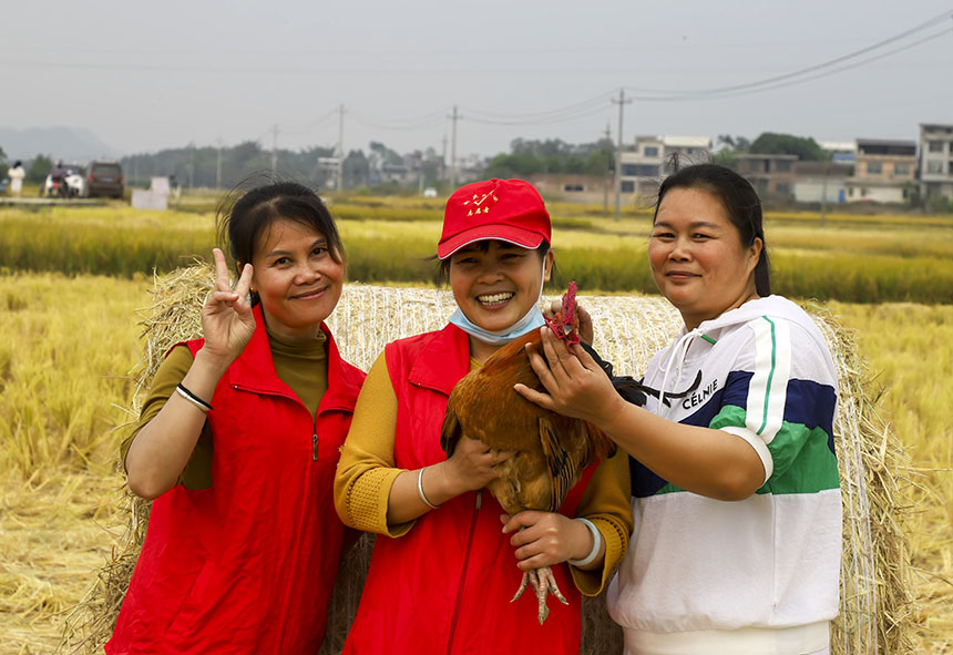 參與抓雞活動的村民們。盤妮云攝