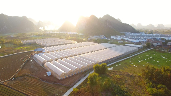 螺螄粉原材料科技示范基地。