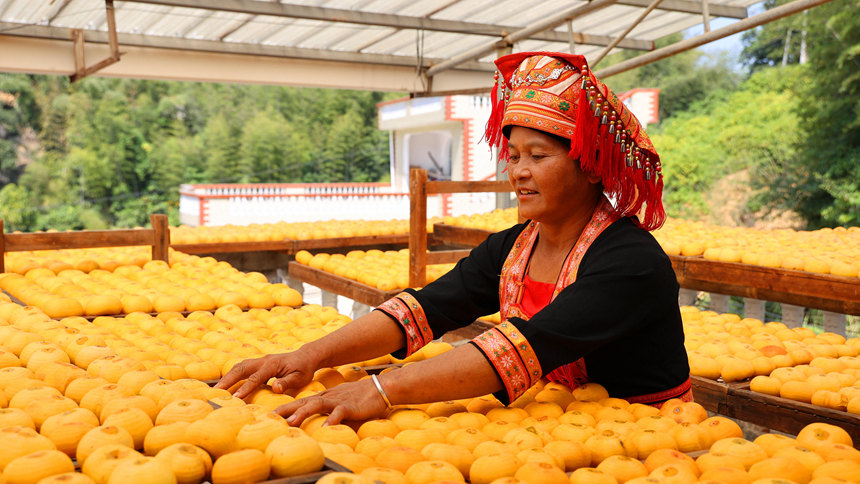 村民正在晾曬柿餅。