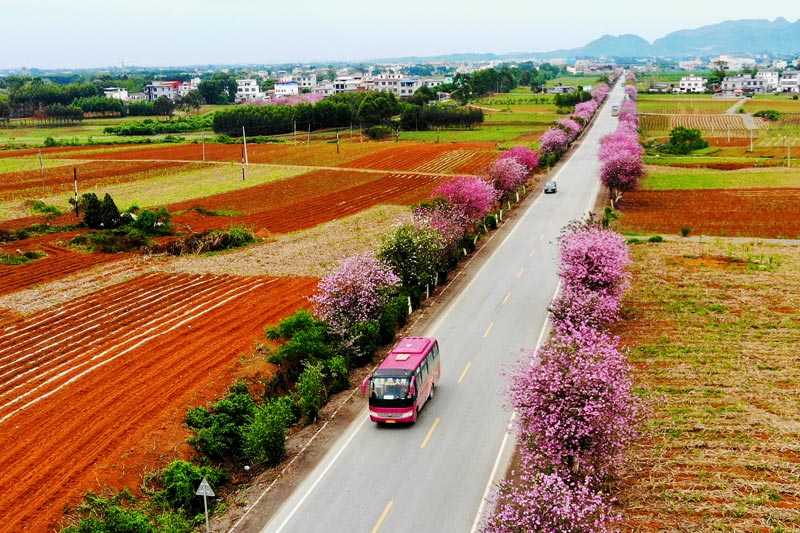 G209線武宣縣金雞至黃茆鎮(zhèn)路段風光
