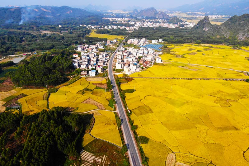 G209線武宣縣桐嶺鎮(zhèn)旺田村路段風(fēng)光