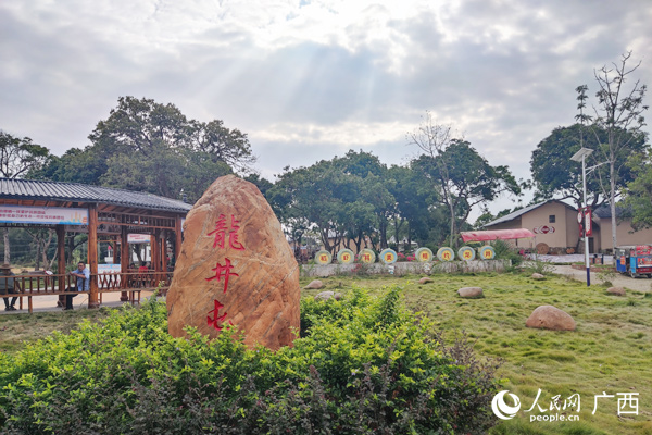 平南縣平南街道平田村龍井屯一角。人民網記者 王勇攝