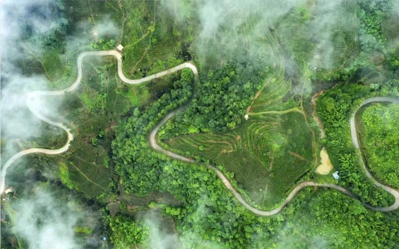 云霧繚繞的六堡鎮(zhèn)生態(tài)景觀 潘建川 攝