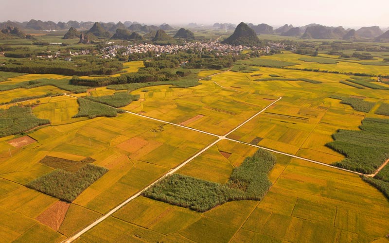 秋天的省道212線（陸玉環(huán)-攝）