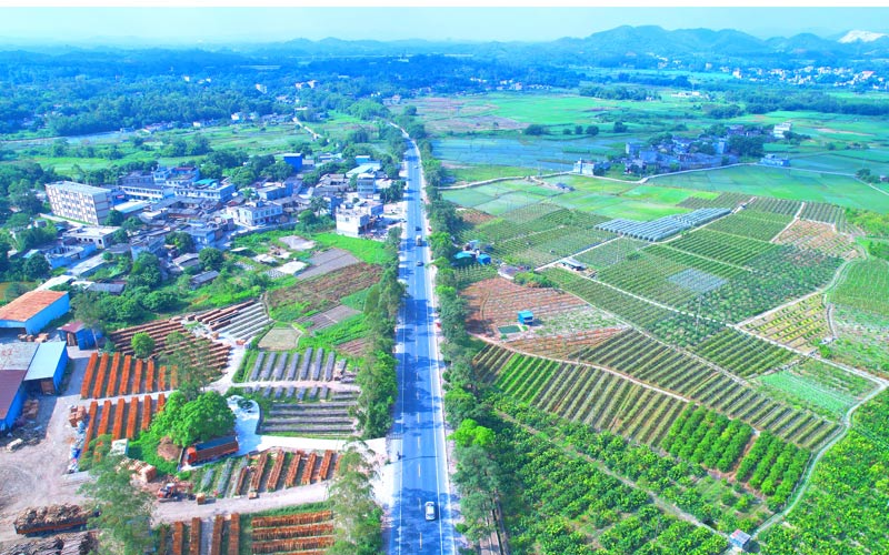 省道206線(xiàn)荔浦至廉江公路陸川縣大橋鎮(zhèn)三善村路段(彭希睦 攝)