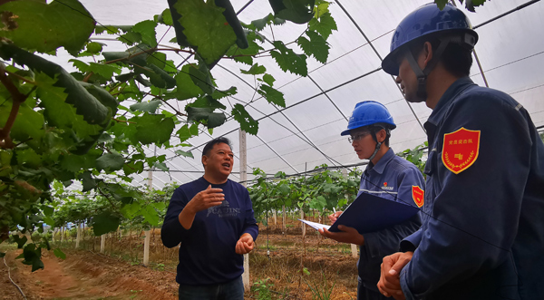服務(wù)隊(duì)積極開展走訪，為果農(nóng)提供貼心服務(wù)。謝忠敏攝