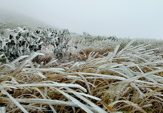 灌陽縣天然滑雪場雪景一角。陸仕臣攝