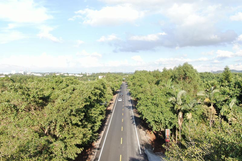 俯瞰G209線赤壁至中站段。