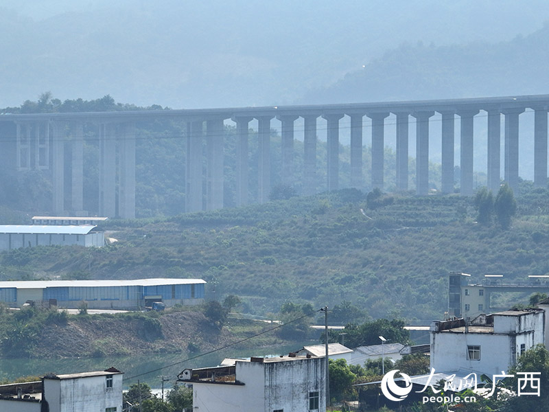 田西高速沿途架設的橋梁。人民網(wǎng) 付華周攝