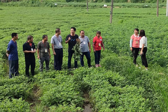 興業(yè)縣洛陽鎮(zhèn)大禮村第一書記李其利指導(dǎo)黑皮花生種植管理 興業(yè)縣委組織部供圖
