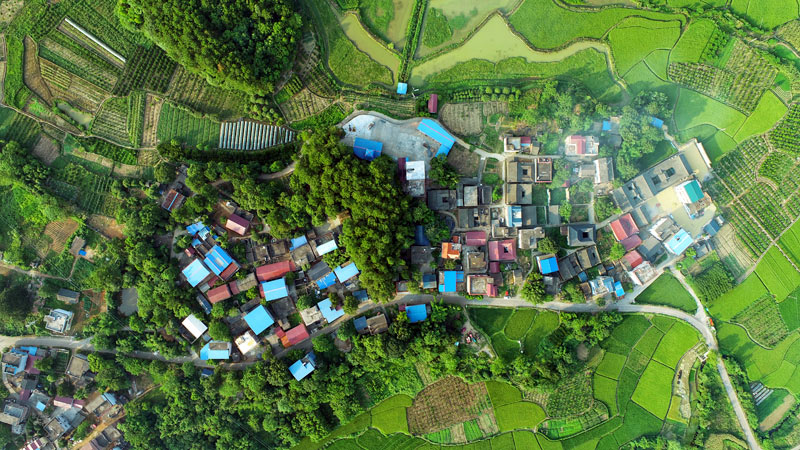 才灣鎮(zhèn)南一村航拍圖。