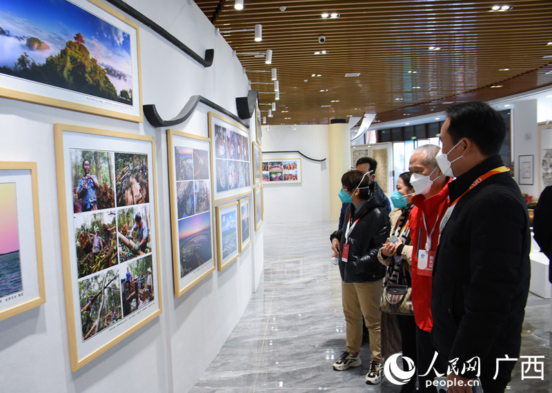 觀眾參觀書(shū)畫(huà)展。人民網(wǎng) 王功孝攝