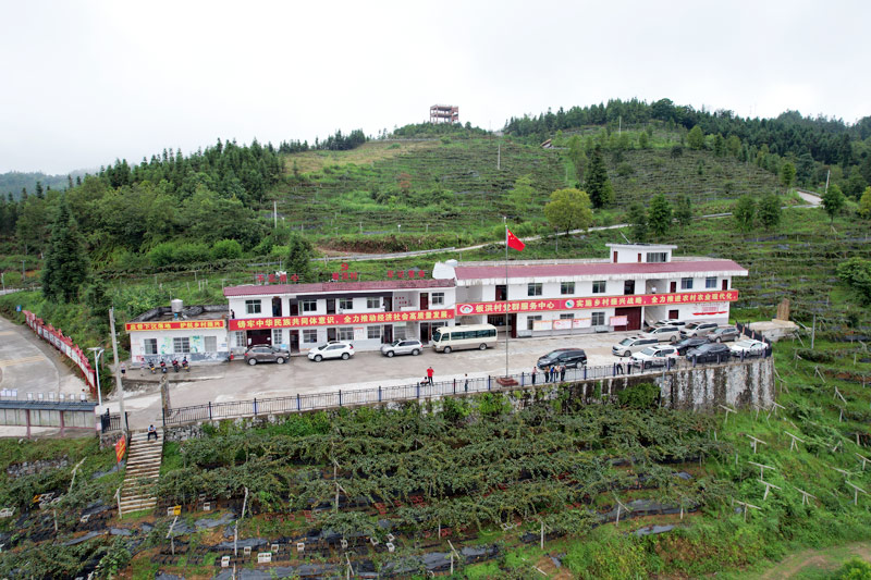 板洪村村部。