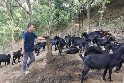 西林縣足別瑤族苗族鄉(xiāng)：人大助力發(fā)展壯大村級集體經(jīng)濟(jì)，助推鄉(xiāng)村振興2022年以來，西林縣足別瑤族苗族鄉(xiāng)人大認(rèn)真貫徹落實上級黨委政府關(guān)于發(fā)展壯大村級集體經(jīng)濟(jì)的部署要求，取得較好成效。【詳細(xì)】 