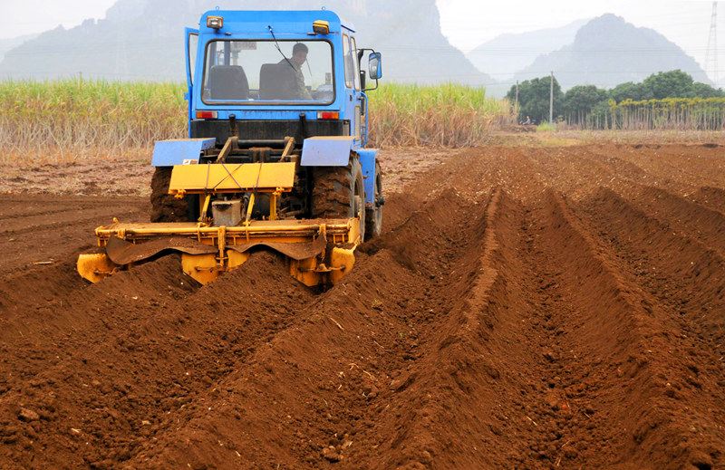 明陽公司蔗區(qū)（蘇圩鎮(zhèn)定計村）農(nóng)戶正搶抓農(nóng)時，駕駛農(nóng)機(jī)開行翻耕，為春植蔗播種做準(zhǔn)備。