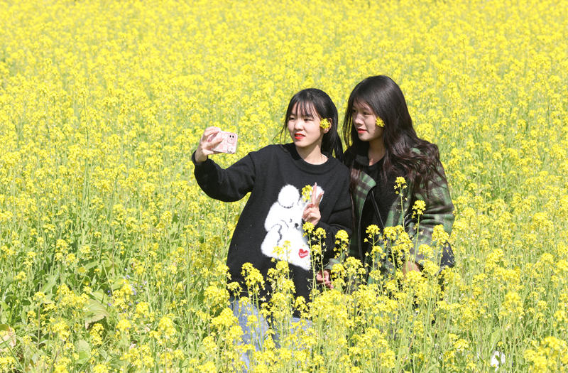 游客在油菜花田中自拍。東蘭縣融媒體中心供圖