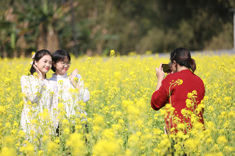 游客在花田中拍照留念。東蘭縣融媒體中心供圖