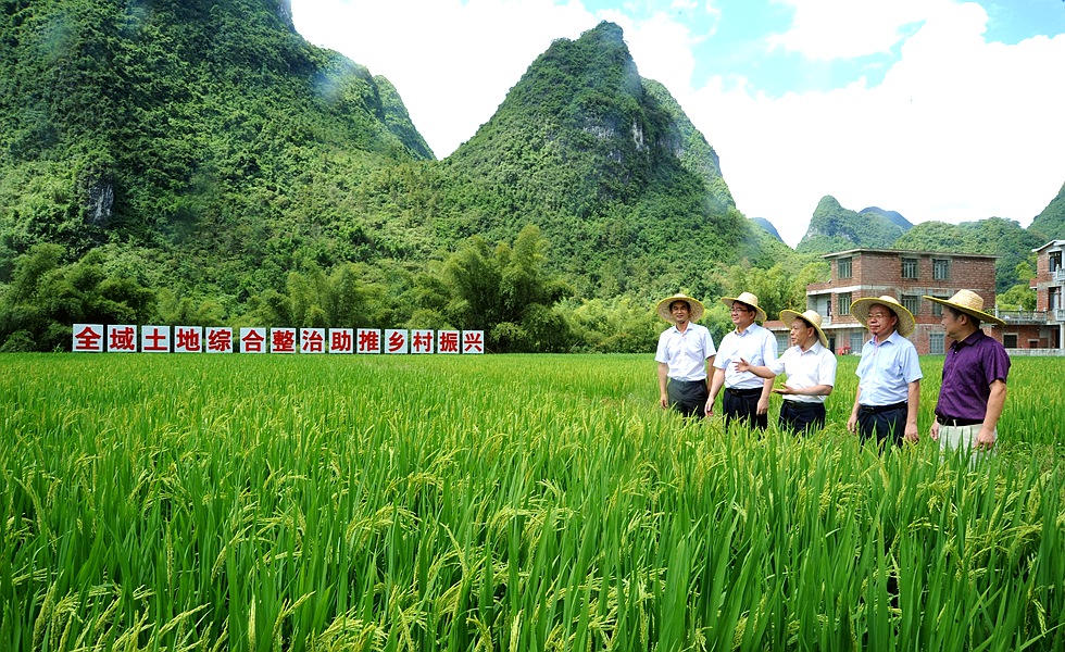 廣西地礦局承擔(dān)的土地整治項(xiàng)目