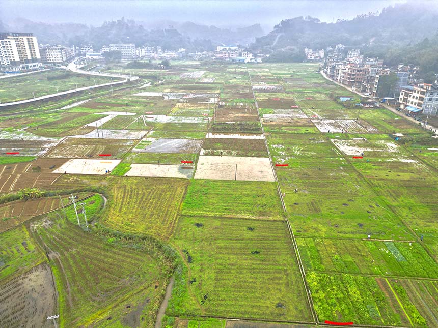 連片的耕地。羅嬋攝