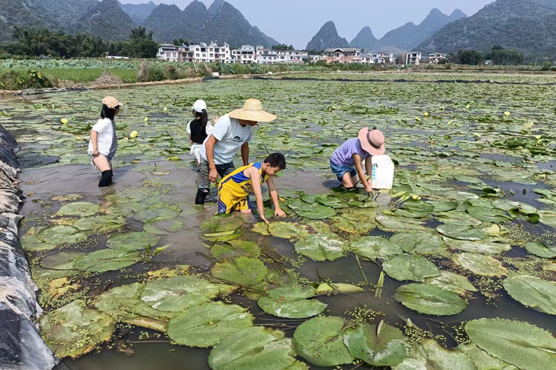 研學(xué)小鎮(zhèn)親子活動(dòng)