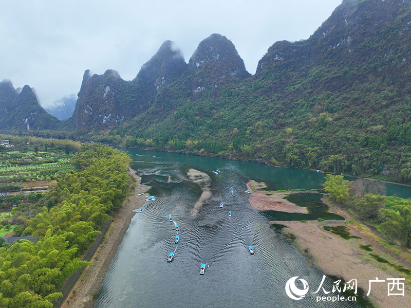 你追我趕的竹排給漓江增添了別樣的活力。人民網(wǎng) 付華周攝