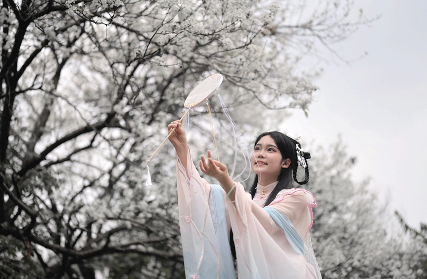 游客與梨花合影。張曉冬攝