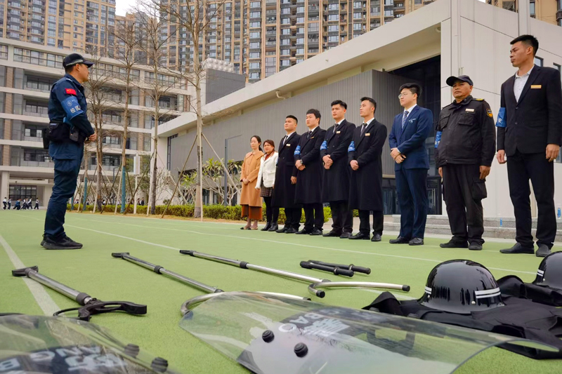 培訓(xùn)現(xiàn)場(chǎng)。魯班路小學(xué)供圖