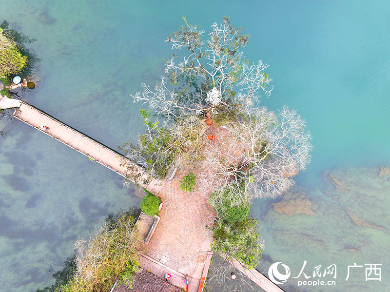 泉眼處晶瑩透徹的泉水。人民網(wǎng) 付華周攝