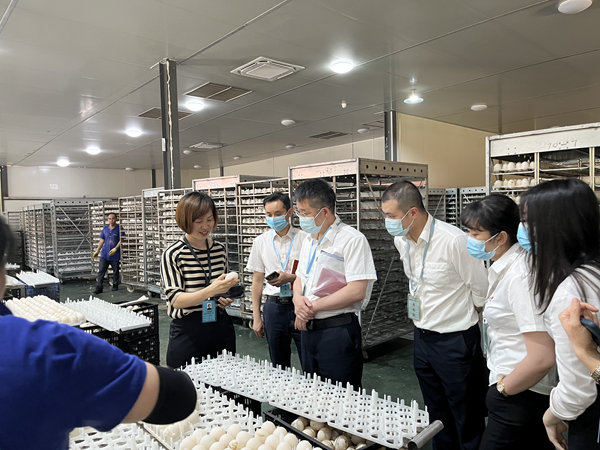 柳州銀行工作人員實地走訪企業(yè)。柳州銀行供圖