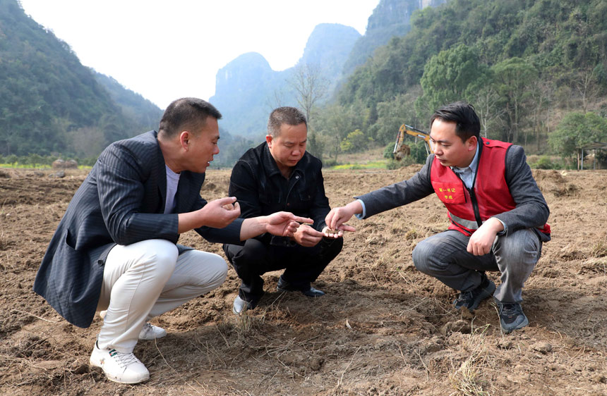 在融安縣橋板鄉(xiāng)古丹村田地里，駐村第一書記（右）與農(nóng)業(yè)專家溝通撂荒田的土層情況。