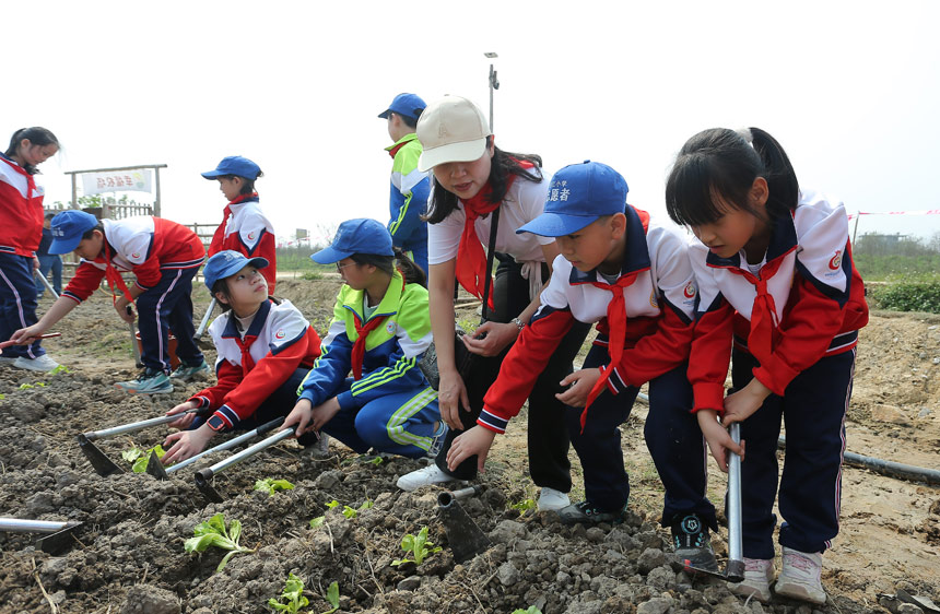 學生們在實踐中體驗勞動的樂趣。樊超龍攝