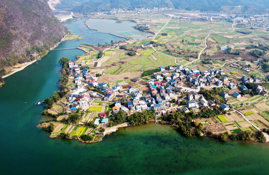 油菜花與江河、田野、村莊構(gòu)成一幅鄉(xiāng)村振興壯美畫卷。