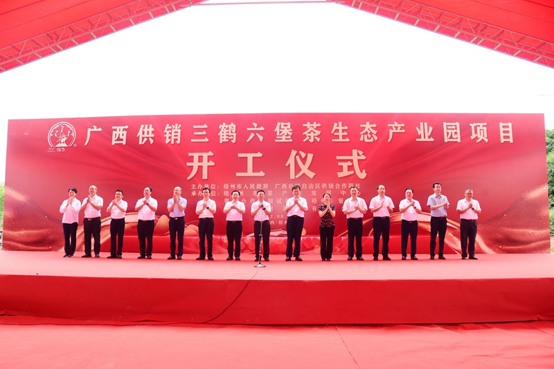 廣西供銷三鶴六堡茶生態(tài)產(chǎn)業(yè)園項目開工儀式現(xiàn)場。廣西供銷社供圖