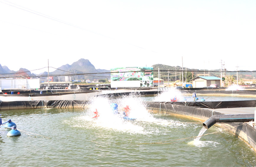 大大小小的魚池星羅棋布。