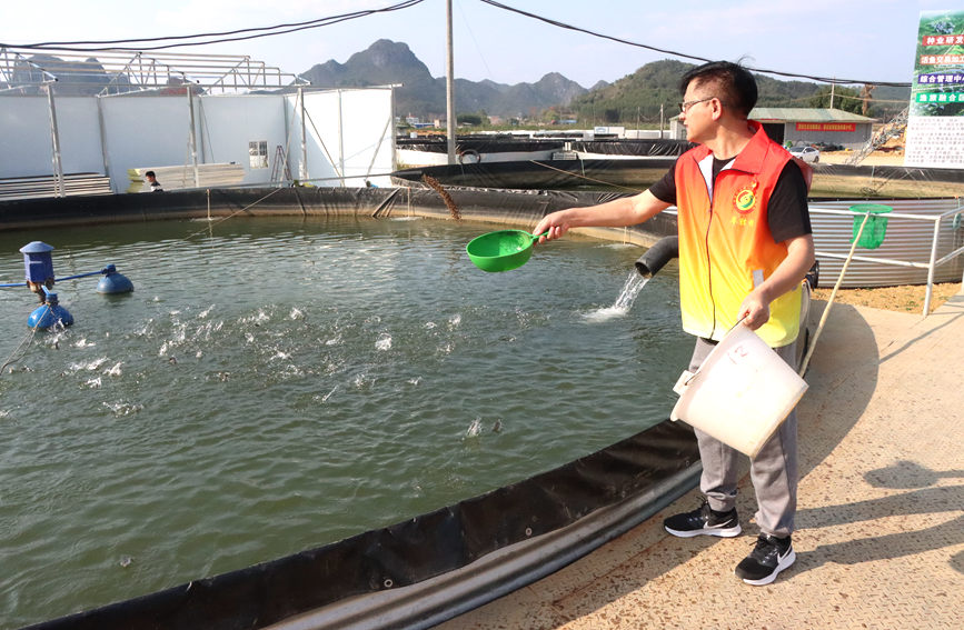 駐村第一書記正在飼養(yǎng)魚。李虹瑩攝