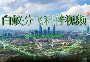 微視：白蟻分飛科普視頻