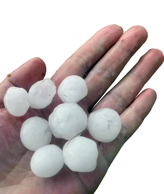 昨日下的冰雹個(gè)頭不小（網(wǎng)友圖片）