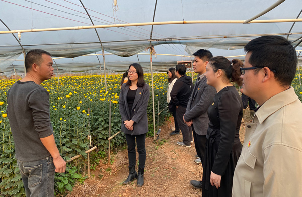 桂平市基層黨建聯(lián)建第五協(xié)作區(qū)成員參觀大洋鎮(zhèn)雙羅村集體經(jīng)濟(jì)項(xiàng)目。徐小酈攝