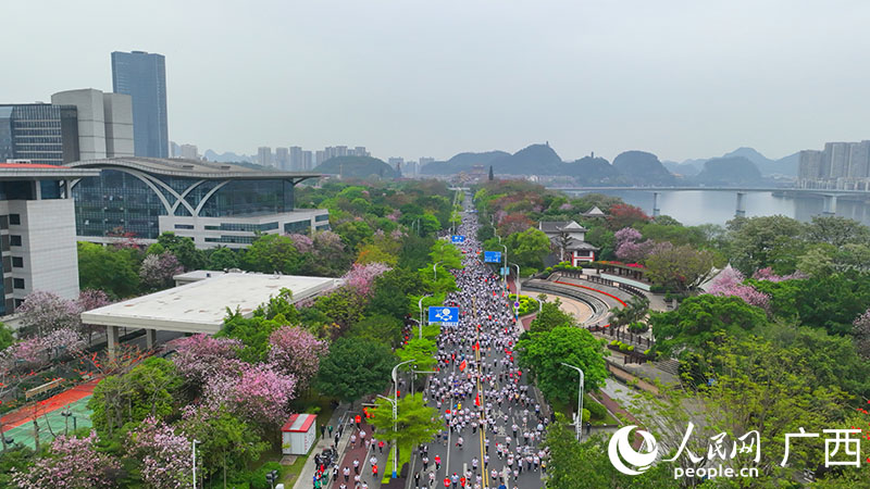 馬拉松大軍在紫荊花賽道中奔跑。人民網(wǎng) 付華周攝