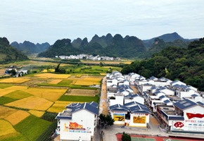 靖西市化峒鎮(zhèn)三友村隆屯新風(fēng)貌