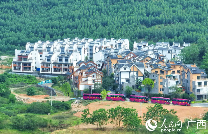 與會人員到南國鄉(xiāng)村實(shí)地考察。人民網(wǎng) 付華周攝